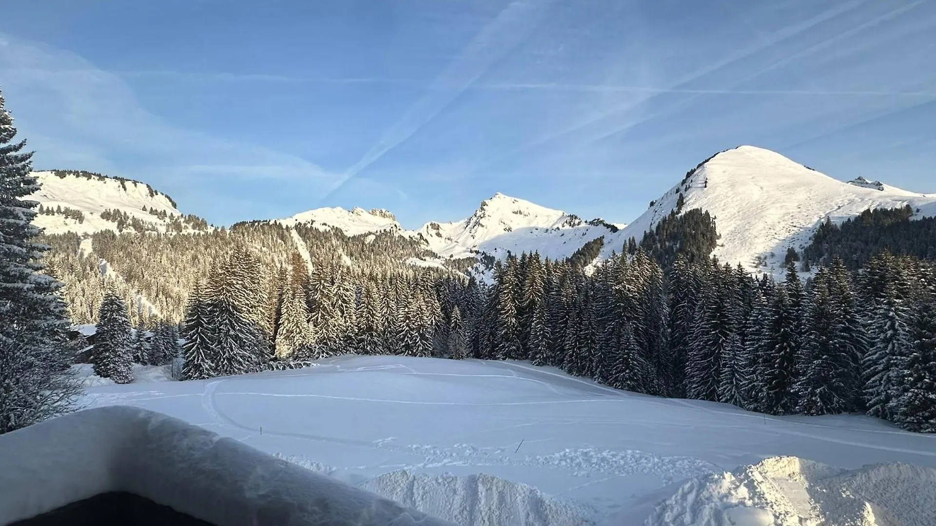 Studio Au Coeur Du Praz-De-Lys - Les Pralyssimes Praz de Lys - Sommand Appartement